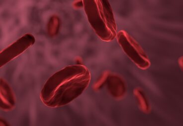 red-blood-cells-3188223_1280