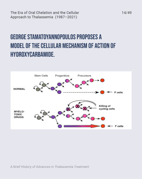 FONDAZIONE-CUTINO-Prof-Maggio-Slide-Workshop-Cambiamento-LinkedIn-Capitolo-314
