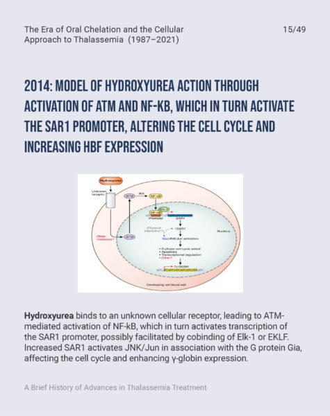 FONDAZIONE-CUTINO-Prof-Maggio-Slide-Workshop-Cambiamento-LinkedIn-Capitolo-315