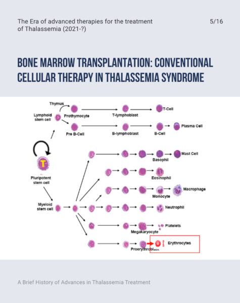 FC-Prof-Maggio-Slide-Workshop-Cambiamento-LinkedIn-Capitolo-4