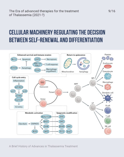 FC-Prof-Maggio-Slide-Workshop-Cambiamento-LinkedIn-Capitolo-4